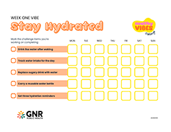 GNR Public Health Healthy Vibes Challenge Tracker Thumbnail Image. Click to download PDF.