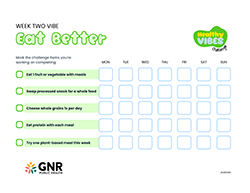 GNR Public Health Healthy Vibes Challenge Tracker for Week Two Thumbnail Image. Click to download PDF.